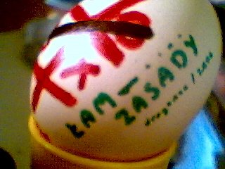 Jajko "Łam zasady" - zdjęcie 03