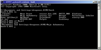 Bash na Windows