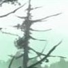 Mushishi, krajobraz pierwszy