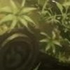 Mushishi, krajobraz czwarty